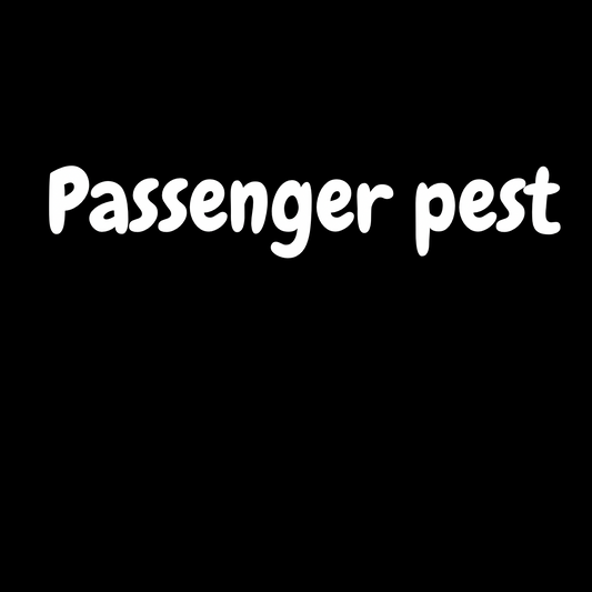 Passenger pest Rearview window sticker